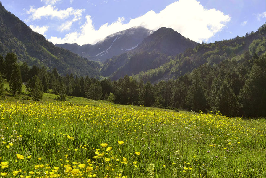 La vall de Sorteny.